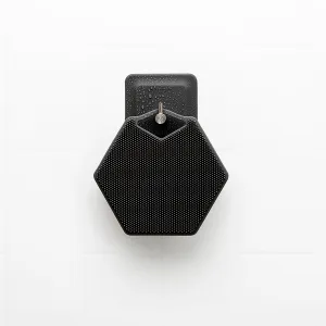 Arnold Hook & Body Scrubber
