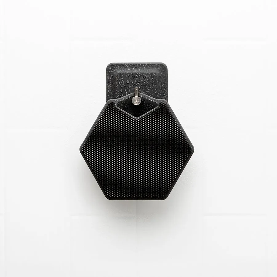 Arnold Hook & Body Scrubber