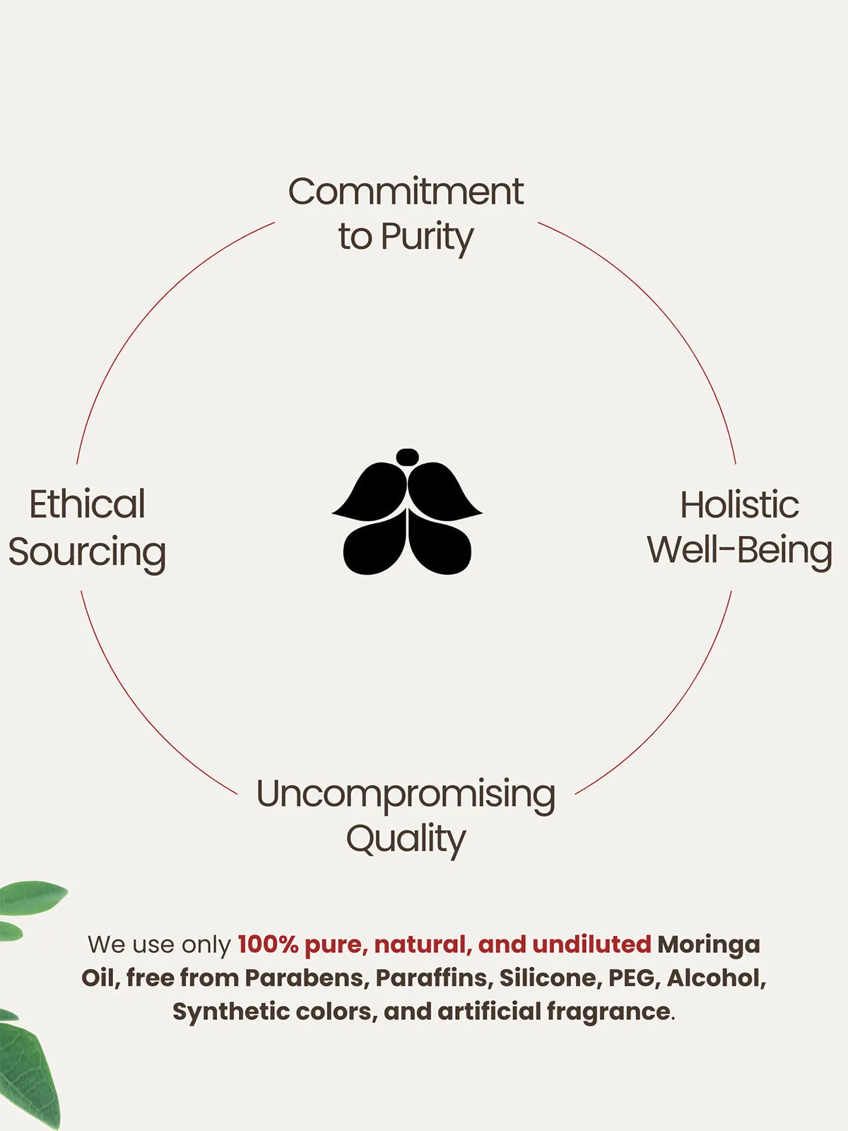 Moringa Carrier Oil