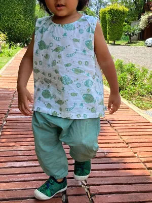 Organic Koi Jhabla With Pants Mint